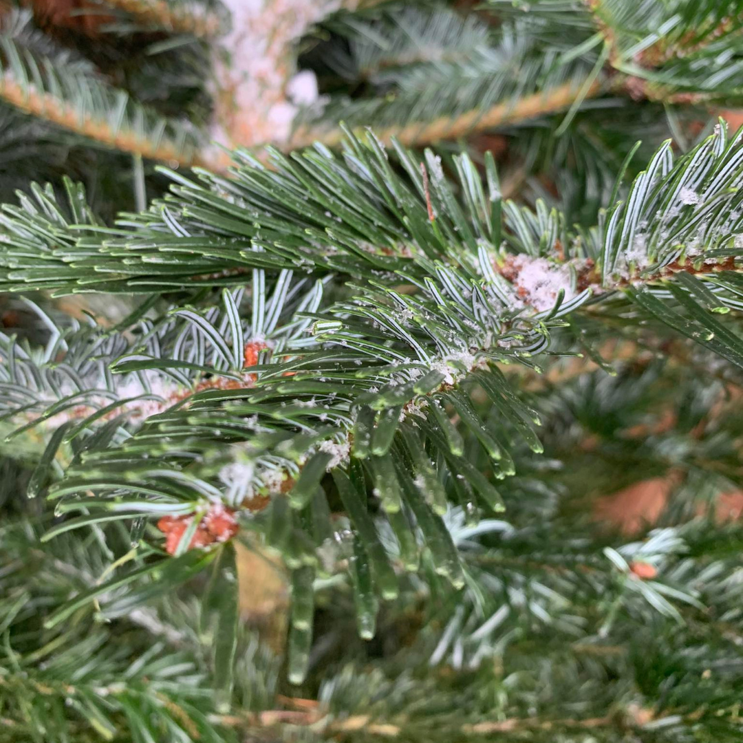 Návrh bez názvu (2)